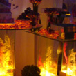 Festas de Debutante